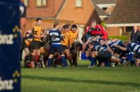 Darlington v Bees