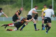 Bees v Dings Crusaders