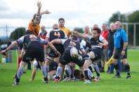 Luctonians v Bees