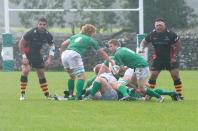 wharfedale v bees