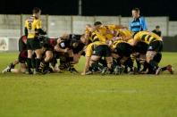 Bees v cornish pirates