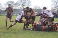 Bees v Sheffield