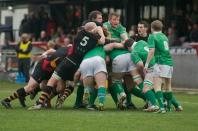 Bees v Wharfedale