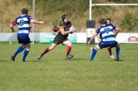 Bees v Darlington MP