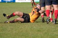 Bees v Westoe