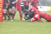 Cambridge v Bees