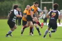 Luctonians v Bees