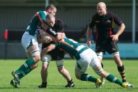 Bees v Ealing