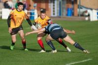 Dudley K v Bees