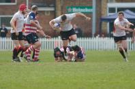 Rosslyn Park v Bees
