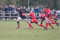 Cambridge v Bees