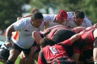 jersey v bees