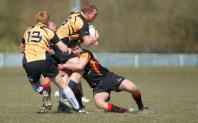 Bees v Luctonians