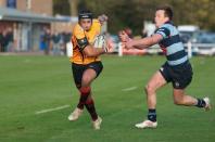 Dudley K v Bees