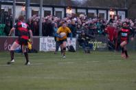 Moseley v Bees