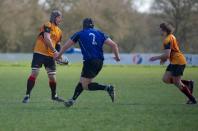 Bees v Otley