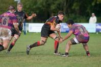 Bees v Hull