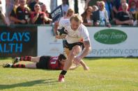 jersey v bees