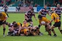 Cornish Pirates v Bees