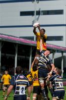 Worcester v Bees