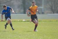 Bees v Otley
