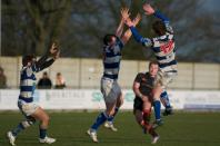 Bees v Tynedale