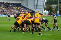 Worcester v Bees