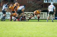 Preston v Bees
