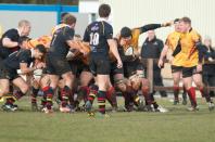 Hull v Bees