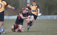Bees v Luctonians