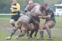 Ealing v Bees