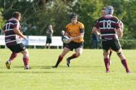 Sheffield Tigers v Bees