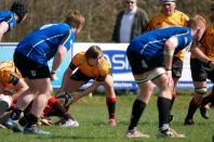 Bees v Otley