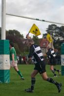 wharfedale v bees