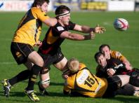 Bees v Esher